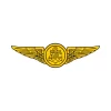 air crew wings