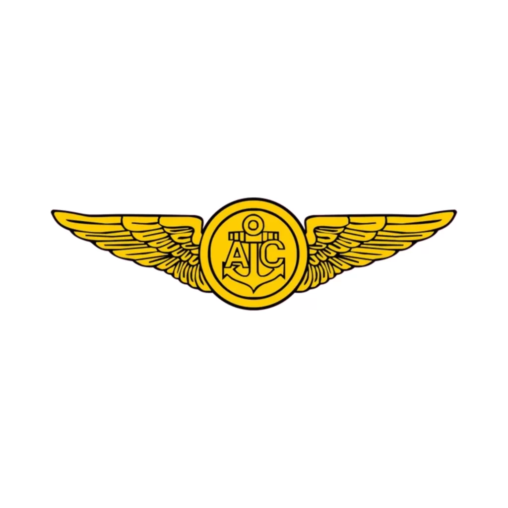 air crew wings