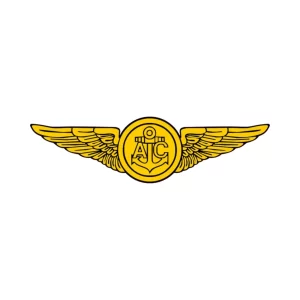 air crew wings