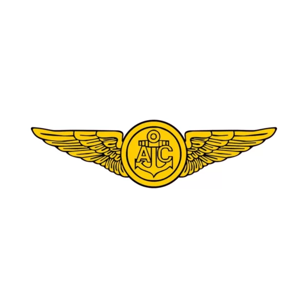 air crew wings